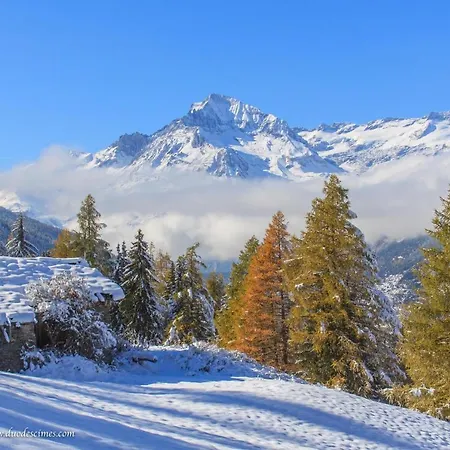 Appartement Les Balcons Proche Parc National Vanoise 2 Pieces 6 Pers Montagne